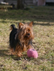 img_8654.jpg
