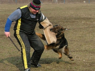 dscf2551.jpg