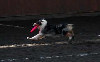 img_6488~1.jpg