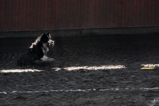 img_6553~1.jpg