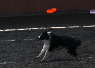 img_6570~1.jpg