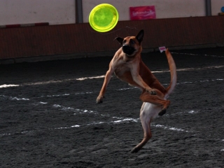 img_6601~1.jpg