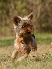 img_1469u.jpg